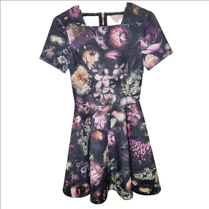 Ted Baker Tamary Floral Skater Dress